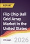 Flip Chip Ball Grid Array Market in the United States - Product Thumbnail Image