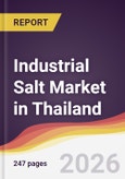 Industrial Salt Market in Thailand- Product Image