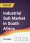 Industrial Salt Market in South Africa - Product Image