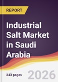 Industrial Salt Market in Saudi Arabia- Product Image