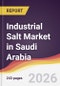 Industrial Salt Market in Saudi Arabia - Product Thumbnail Image