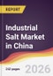 Industrial Salt Market in China - Product Thumbnail Image