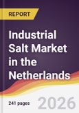 Industrial Salt Market in the Netherlands- Product Image