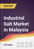 Industrial Salt Market in Malaysia- Product Image