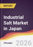 Industrial Salt Market in Japan- Product Image