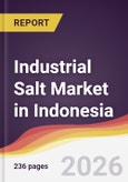 Industrial Salt Market in Indonesia- Product Image