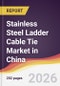 Stainless Steel Ladder Cable Tie Market in China - Product Thumbnail Image