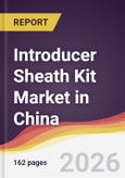 Introducer Sheath Kit Market in China- Product Image