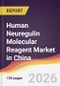 Human Neuregulin Molecular Reagent Market in China - Product Image