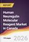 Human Neuregulin Molecular Reagent Market in Canada - Product Image