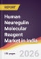 Human Neuregulin Molecular Reagent Market in India - Product Image