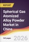 Spherical Gas Atomized Alloy Powder Market in China - Product Image