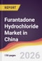 Furantadone Hydrochloride Market in China - Product Image