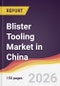 Blister Tooling Market in China - Product Thumbnail Image