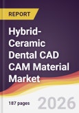 Hybrid-Ceramic Dental CAD CAM Material Market Report: Trends, Forecast and Competitive Analysis to 2031- Product Image