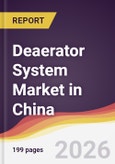 Deaerator System Market in China- Product Image