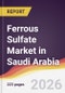 Ferrous Sulfate Market in Saudi Arabia - Product Thumbnail Image