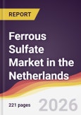 Ferrous Sulfate Market in the Netherlands- Product Image
