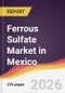 Ferrous Sulfate Market in Mexico - Product Thumbnail Image