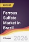 Ferrous Sulfate Market in Brazil - Product Image