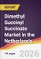 Dimethyl Succinyl Succinate Market in the Netherlands - Product Thumbnail Image