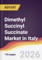 Dimethyl Succinyl Succinate Market in Italy - Product Image