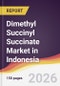 Dimethyl Succinyl Succinate Market in Indonesia - Product Image