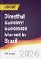 Dimethyl Succinyl Succinate Market in Brazil - Product Thumbnail Image