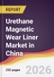 Urethane Magnetic Wear Liner Market in China - Product Thumbnail Image