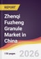Zhenqi Fuzheng Granule Market in China - Product Thumbnail Image