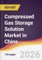 Compressed Gas Storage Solution Market in China - Product Image