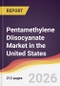 Pentamethylene Diisocyanate Market in the United States - Product Thumbnail Image
