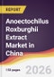Anoectochilus Roxburghii Extract Market in China - Product Image