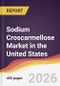 Sodium Croscarmellose Market in the United States - Product Image