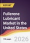 Fullerene Lubricant Market in the United States - Product Thumbnail Image