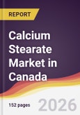 Calcium Stearate Market in Canada- Product Image