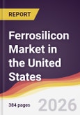 Ferrosilicon Market in the United States- Product Image