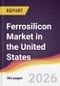 Ferrosilicon Market in the United States - Product Thumbnail Image
