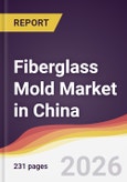 Fiberglass Mold Market in China- Product Image