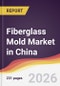 Fiberglass Mold Market in China - Product Image