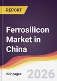 Ferrosilicon Market in China- Product Image