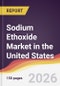 Sodium Ethoxide Market in the United States - Product Image