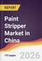 Paint Stripper Market in China - Product Image