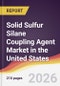Solid Sulfur Silane Coupling Agent Market in the United States - Product Image