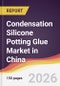 Condensation Silicone Potting Glue Market in China - Product Thumbnail Image