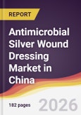 Antimicrobial Silver Wound Dressing Market in China- Product Image