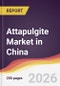 Attapulgite Market in China - Product Thumbnail Image