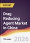 Drag Reducing Agent Market in China - Product Thumbnail Image
