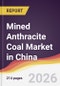Mined Anthracite Coal Market in China - Product Image