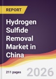 Hydrogen Sulfide Removal Market in China- Product Image